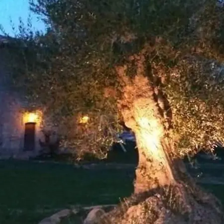 Affittasi Casale Localita Romeggio *