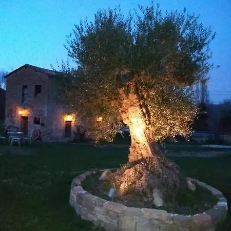 Affittasi Casale Localita Romeggio Nyaraló